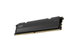 16GB (1x16GB) DDR5 5600MHz CL30 KLEVV FIT V RAM